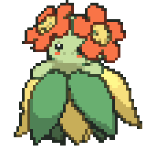 Bellossom