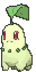 Chikorita