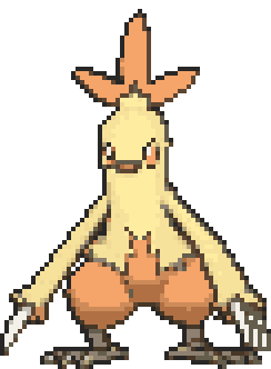Combusken
