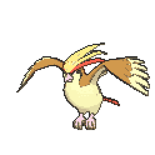 Pidgeot