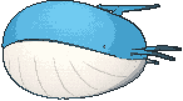 Wailord